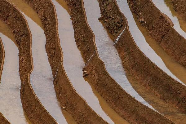 Water field in rice terrace paddies in North Vietnam
