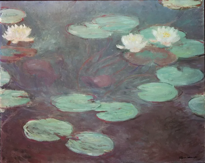 Framed Print : Water lilies (or Nympheas), by Claude Monet, 1906, 20th Century, oil on canvas, cm 81 x 100 Framed Print : Water lilies (or Nympheas), by Claude Monet, 1906, 20th Century, oil on canvas, cm 81 x 100