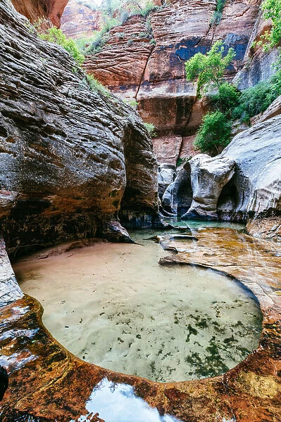 Water pools, the Subway, Zion NP, USA