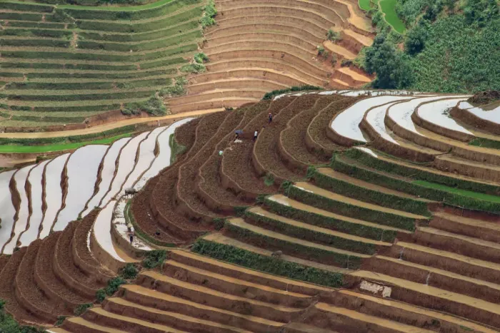 Framed Print : Water season in rice terrace paddies in North Vietnam Framed Print : Water season in rice terrace paddies in North Vietnam