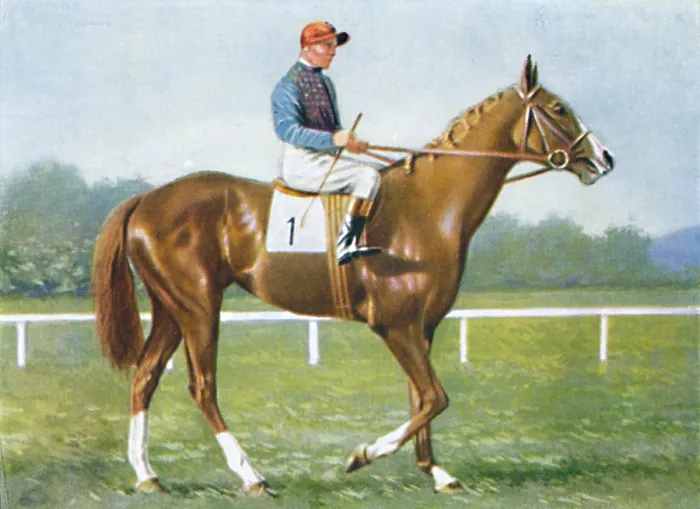 Framed Print : Waterbird, Jockey: E. Smith, 1939. From Racehorses and Jockeys, 1938 - A Series of 40 Framed Print : Waterbird, Jockey: E. Smith, 1939. From Racehorses and Jockeys, 1938 - A Series of 40