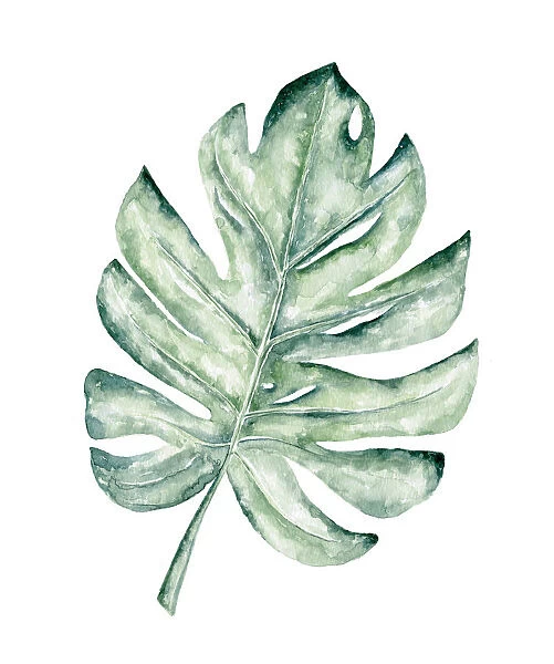 Watercolor tropical leaf