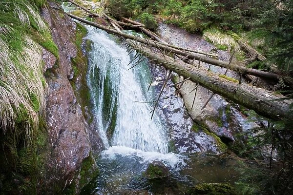 Waterfall on the White Brook, national park and UNESCO biosphere reserve Sumava