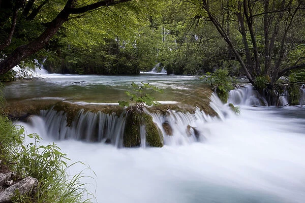 Waterfall of the lower lakes, Plitvice Lakes National Park, Croatia, Europe