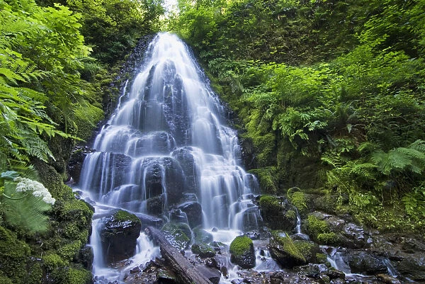 Waterfall With Lush Foliage