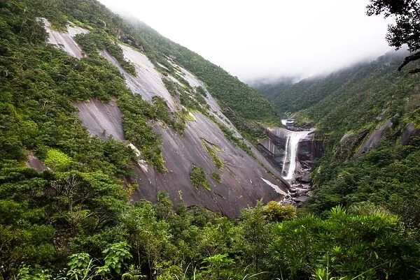Waterfall in Unesco heritage rainforest of Japan