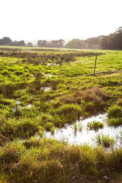 Waterlogged landscape on a farm near Creighton, KZN, South Africa