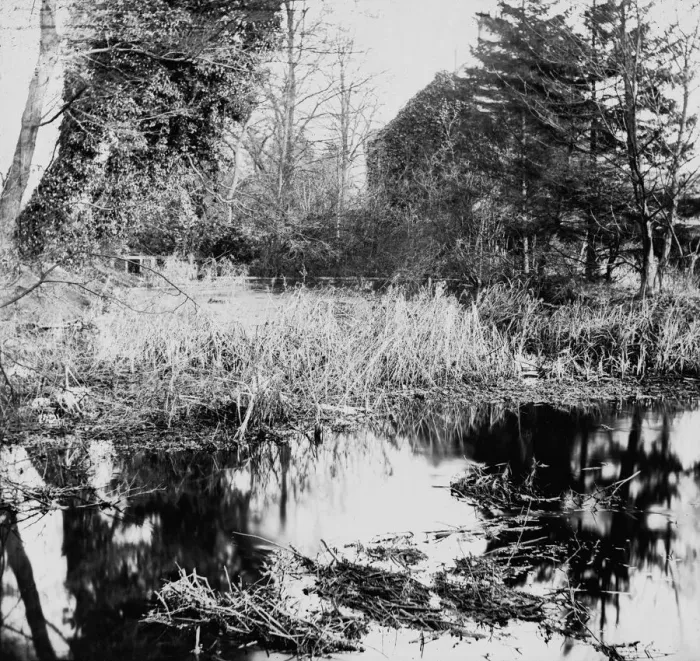 Framed Print : Still Waters Framed Print : Still Waters