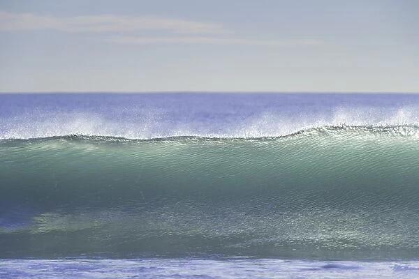 Wave breaking. Westland, West Coast, South Island, New Zealand