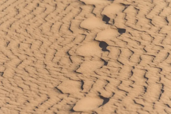 Framed Print : Wave pattern in the sand, Sossusvlei, Namib-Naukluft National Park, Namibia Framed Print : Wave pattern in the sand, Sossusvlei, Namib-Naukluft National Park, Namibia