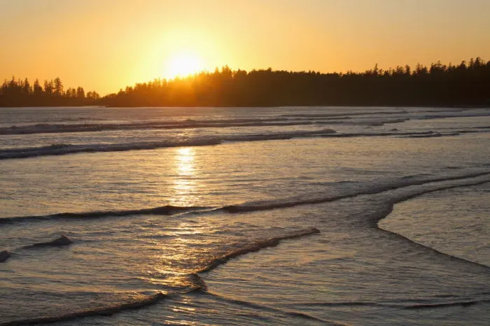 Framed Print : Waves At Long Beach A Surfers Paradise At Sunset In Pacific Rim National Park Near Tofino Framed Print : Waves At Long Beach A Surfers Paradise At Sunset In Pacific Rim National Park Near Tofino