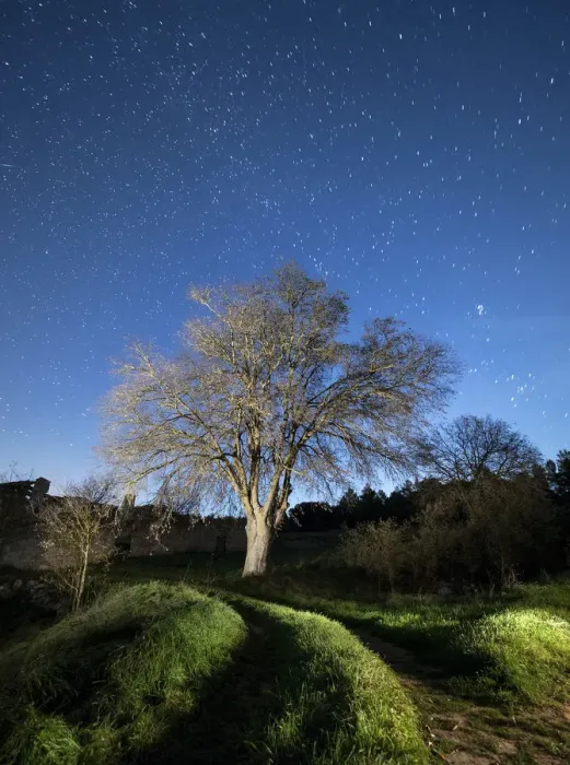 Framed Print : Way of mountain that leads to a great solitary tree a night of moonlight Framed Print : Way of mountain that leads to a great solitary tree a night of moonlight