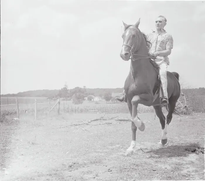 Framed Print : Wayne Morse Riding His Horse Framed Print : Wayne Morse Riding His Horse