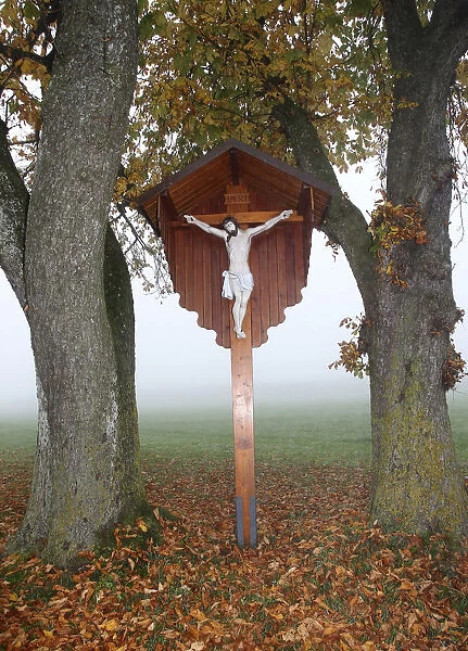 Wayside cross with a figure of Jesus Christ, in the autumn mist between Horse-Chestnut Trees -Aesculus hippocastanum-, Allgau, Bavaria, Germany, Europe
