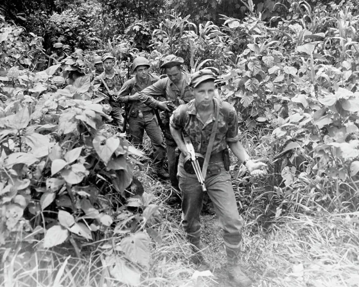 Framed Print : Weapon Carrying American Marines Camouflaged by Jungle Framed Print : Weapon Carrying American Marines Camouflaged by Jungle