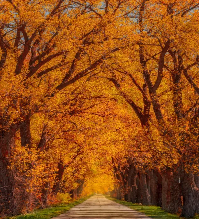Framed Print : Weary Road