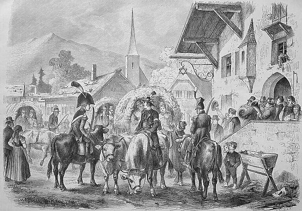 Wedding in a village in Salzburg area, bride and groom with ox team, guests and well-wishers, Austria, Historic, historical, digitally improved reproduction of an original from the 19th century