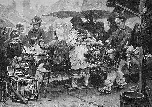 Weekly market in Agram, Zagreb, Croatia, 1888, Historic, digital reproduction of an original 19th-century image, original date unknown