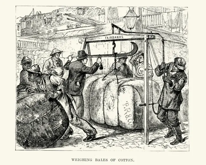 Framed Print : Weighing bales of cotton, New Orleans 19th Century Framed Print : Weighing bales of cotton, New Orleans 19th Century