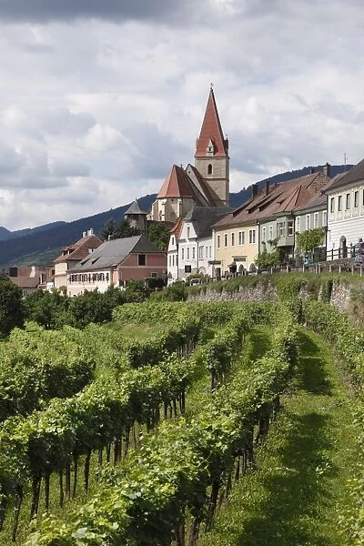 Weissenkirchen in the Wachau, Waldviertel, Lower Austria, Austria, Europe