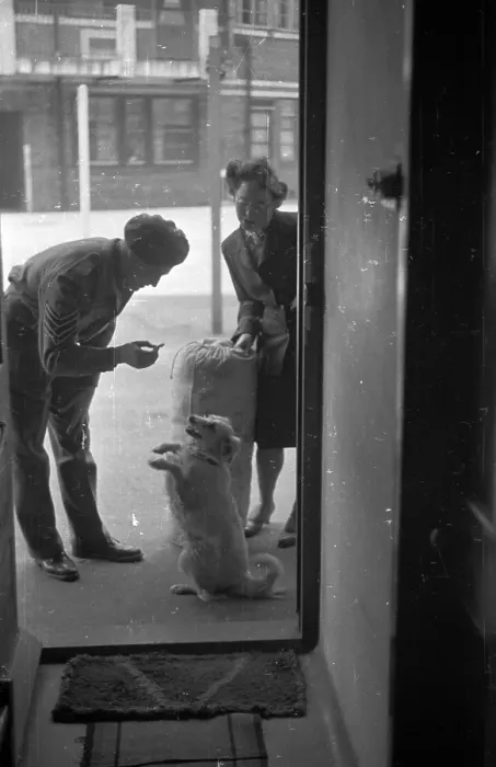 Framed Print : Welcome Home Dog Framed Print : Welcome Home Dog