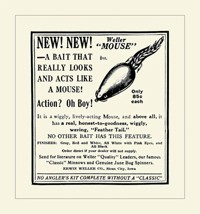 Framed Print : Weller Mouse