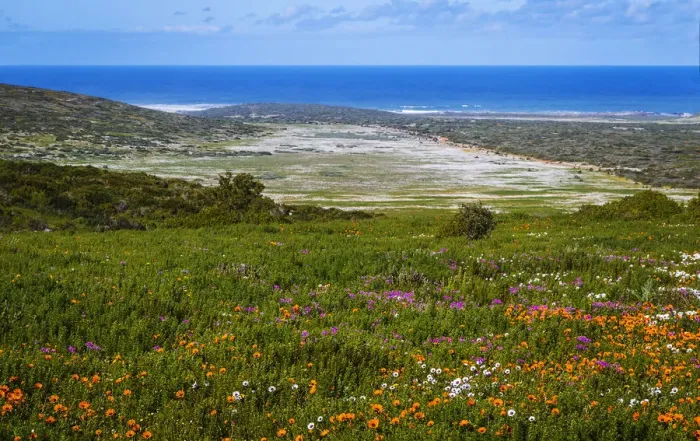 Framed Print : West Coast National Park. Western Cape Province. South Africa Framed Print : West Coast National Park. Western Cape Province. South Africa