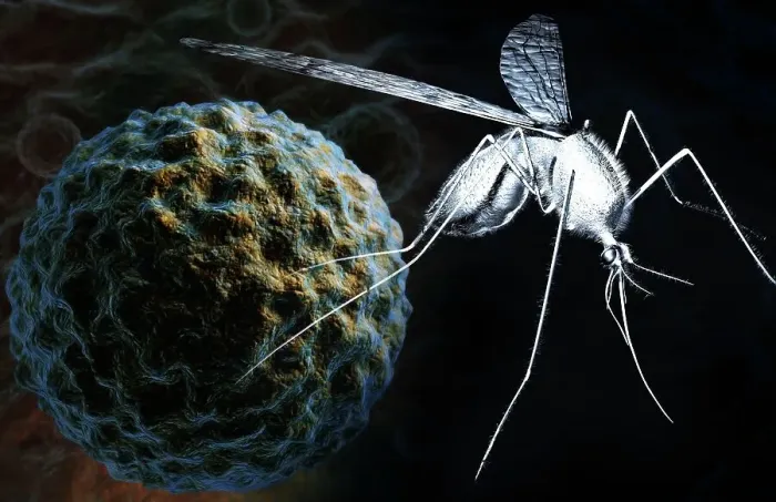Framed Print : The west nile virus Framed Print : The west nile virus