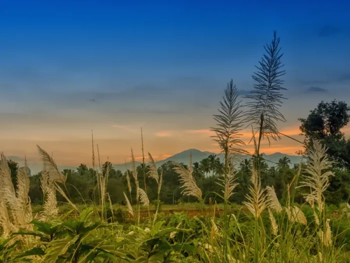 Framed Print : Dusk. Western Ghats, South India Framed Print : Dusk. Western Ghats, South India