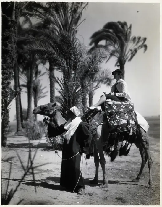 Framed Print : Western Woman Rides On Camel In Oasis Framed Print : Western Woman Rides On Camel In Oasis