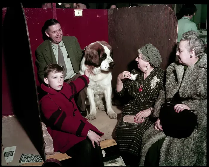 Framed Print : WESTMINSTER DOG SHOW 1957 Framed Print : WESTMINSTER DOG SHOW 1957