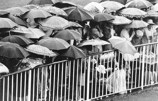 Wet Ascot. A sea of umbrellas at a wet Ascot horse race meeting