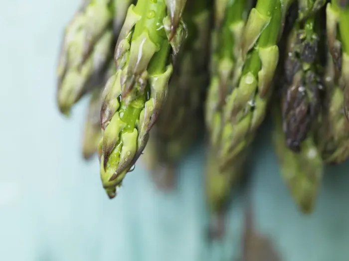 Framed Print : Wet asparagus Framed Print : Wet asparagus