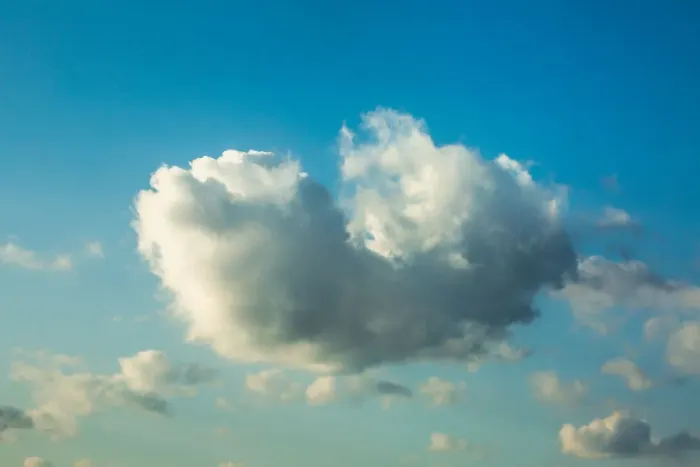 Framed Print : Whale Cloud Framed Print : Whale Cloud