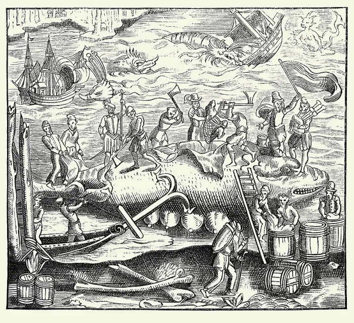 Framed Print : Whale Fishing Framed Print : Whale Fishing
