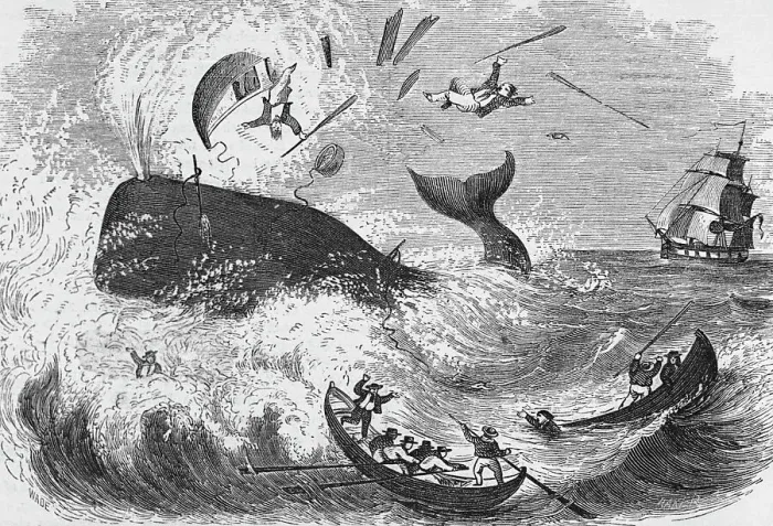 Framed Print : Whaling, The Flurry, Woodcut