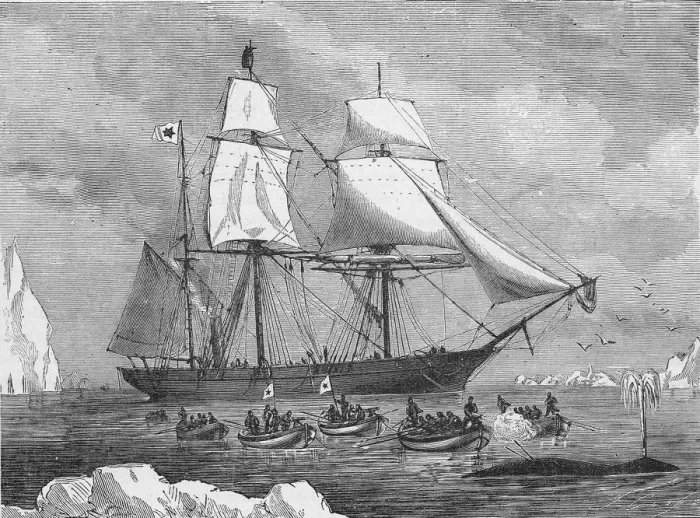 Framed Print : Whaling Ship Framed Print : Whaling Ship