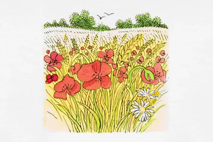 Framed Print : Wheat ears and poppies in field Framed Print : Wheat ears and poppies in field