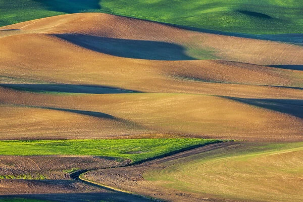 Wheat and fallow fields on hills of Palouse region, Washington State, USA