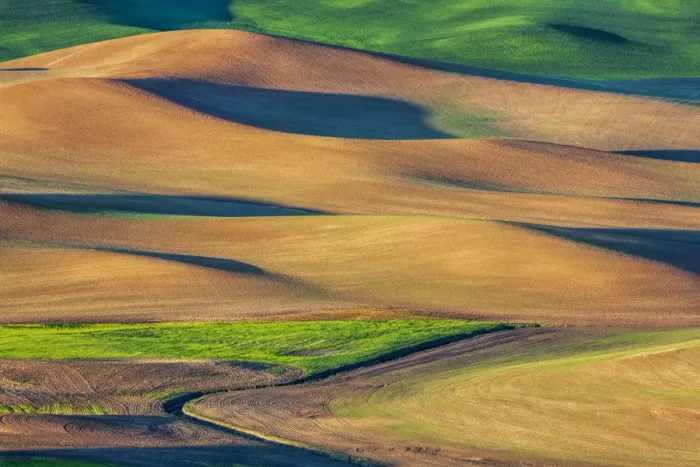 Framed Print : Wheat and fallow fields on hills of Palouse region, Washington State, USA Framed Print : Wheat and fallow fields on hills of Palouse region, Washington State, USA