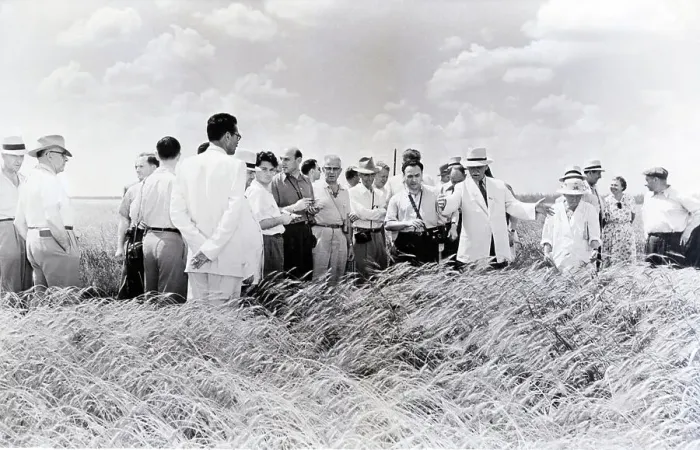 Framed Print : Wheat Harvest In Soviet Union Framed Print : Wheat Harvest In Soviet Union