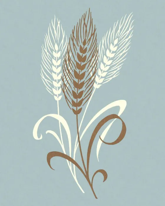 Framed Print : Wheat Stalks Framed Print : Wheat Stalks