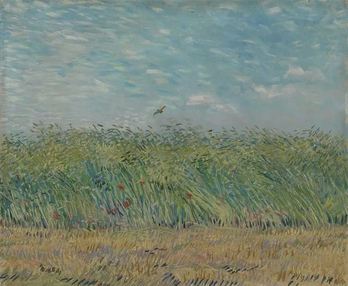 Framed Print : Wheatfield With Partridge Framed Print : Wheatfield With Partridge