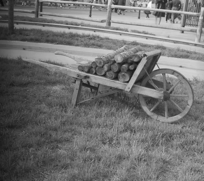 Framed Print : Wheelbarrow with logs Framed Print : Wheelbarrow with logs