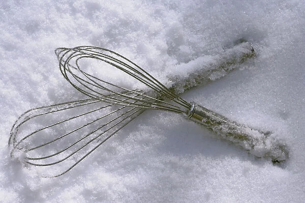 Whisks in the snow