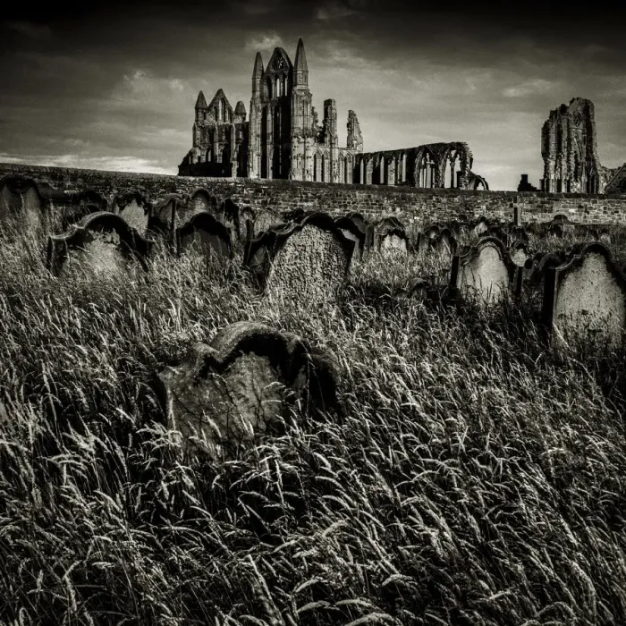 Framed Print : Whitby Abbey Framed Print : Whitby Abbey