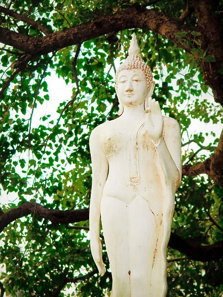 A white Buddha