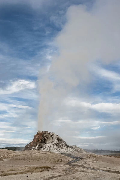 White Dome Geyser erupting, Yellowstone National Park, Wyoming, USA
