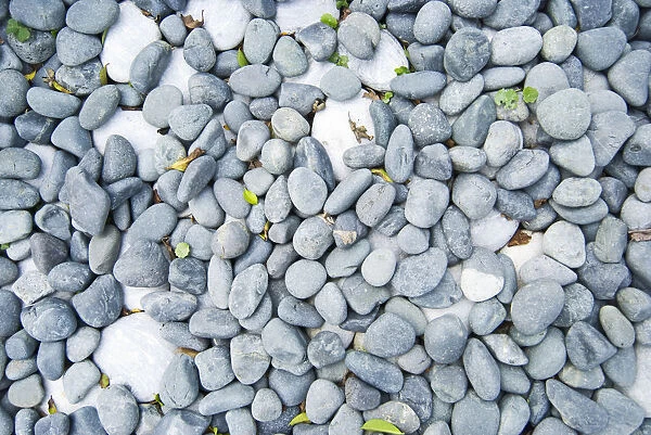 White and gray pebbles with fallen leaves