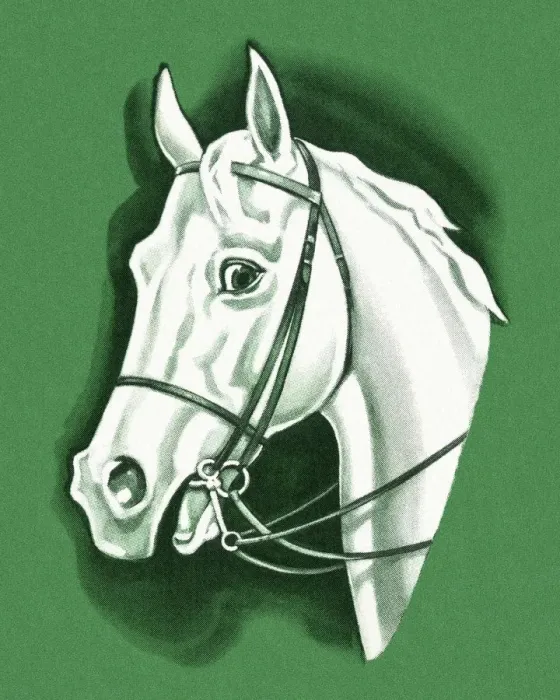 Framed Print : White Horse Framed Print : White Horse